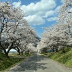 Thumbnail of new posts 014